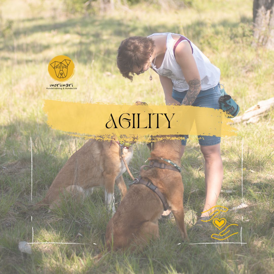Agility