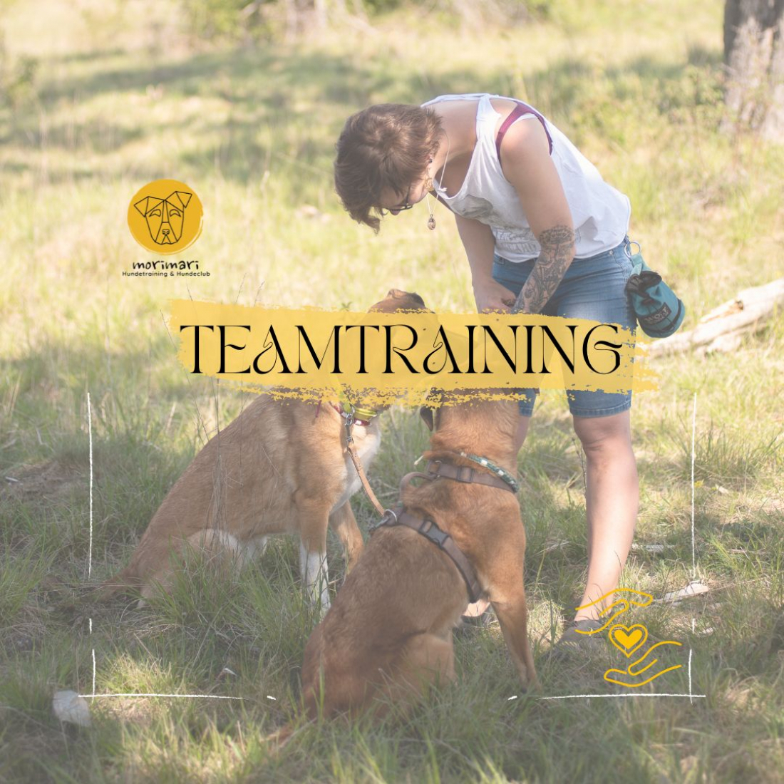 Teamtraining II